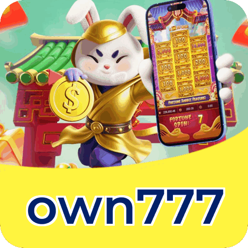 Interface own777